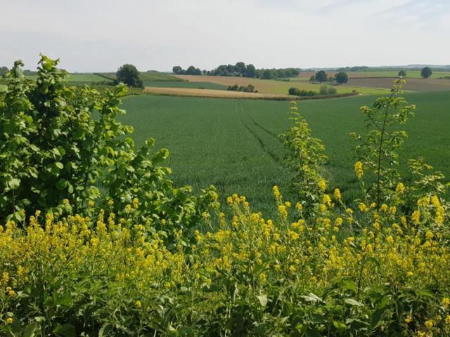 Boslucht Leuven Bed & Breakfast Heverlee ภายนอก รูปภาพ