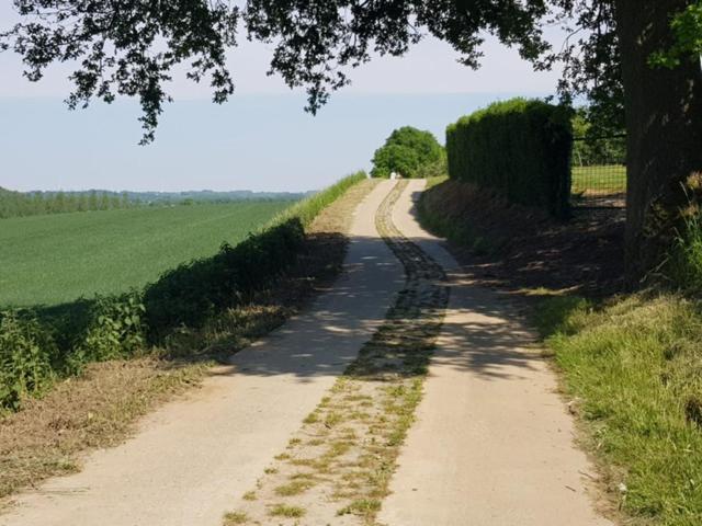 Boslucht Leuven Bed & Breakfast Heverlee ภายนอก รูปภาพ